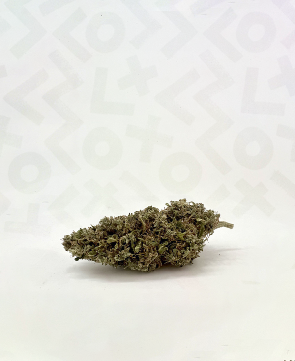 White Widow