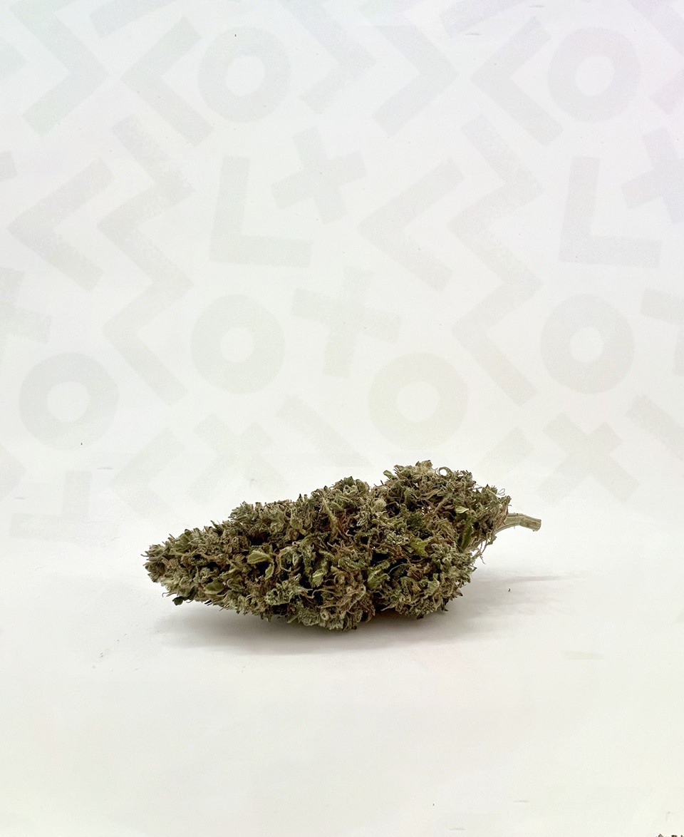 White Widow