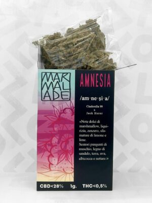 Maxi Box Amnesia Surprise