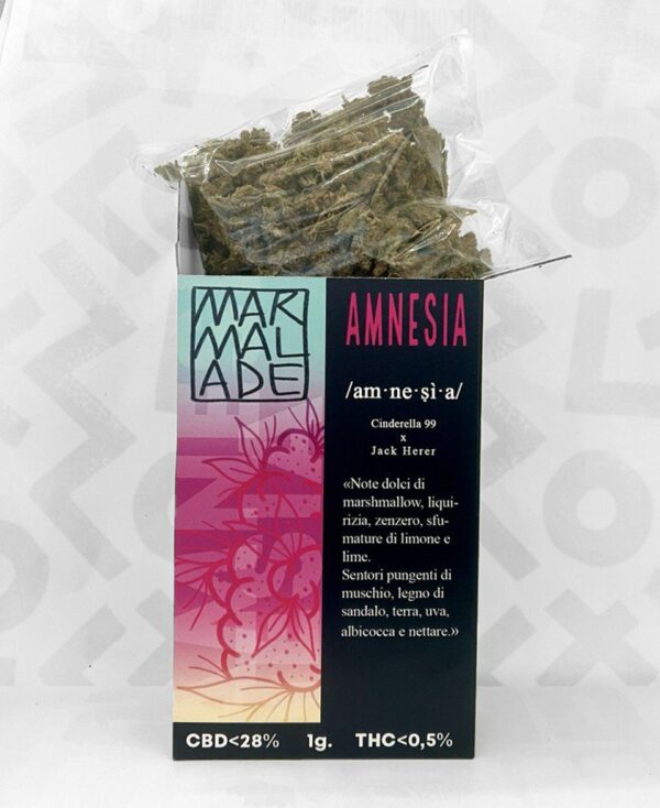 Maxi Box Amnesia Surprise