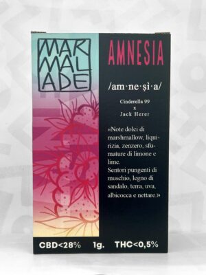 Maxi Box Amnesia
