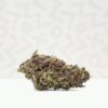 Purple Punch